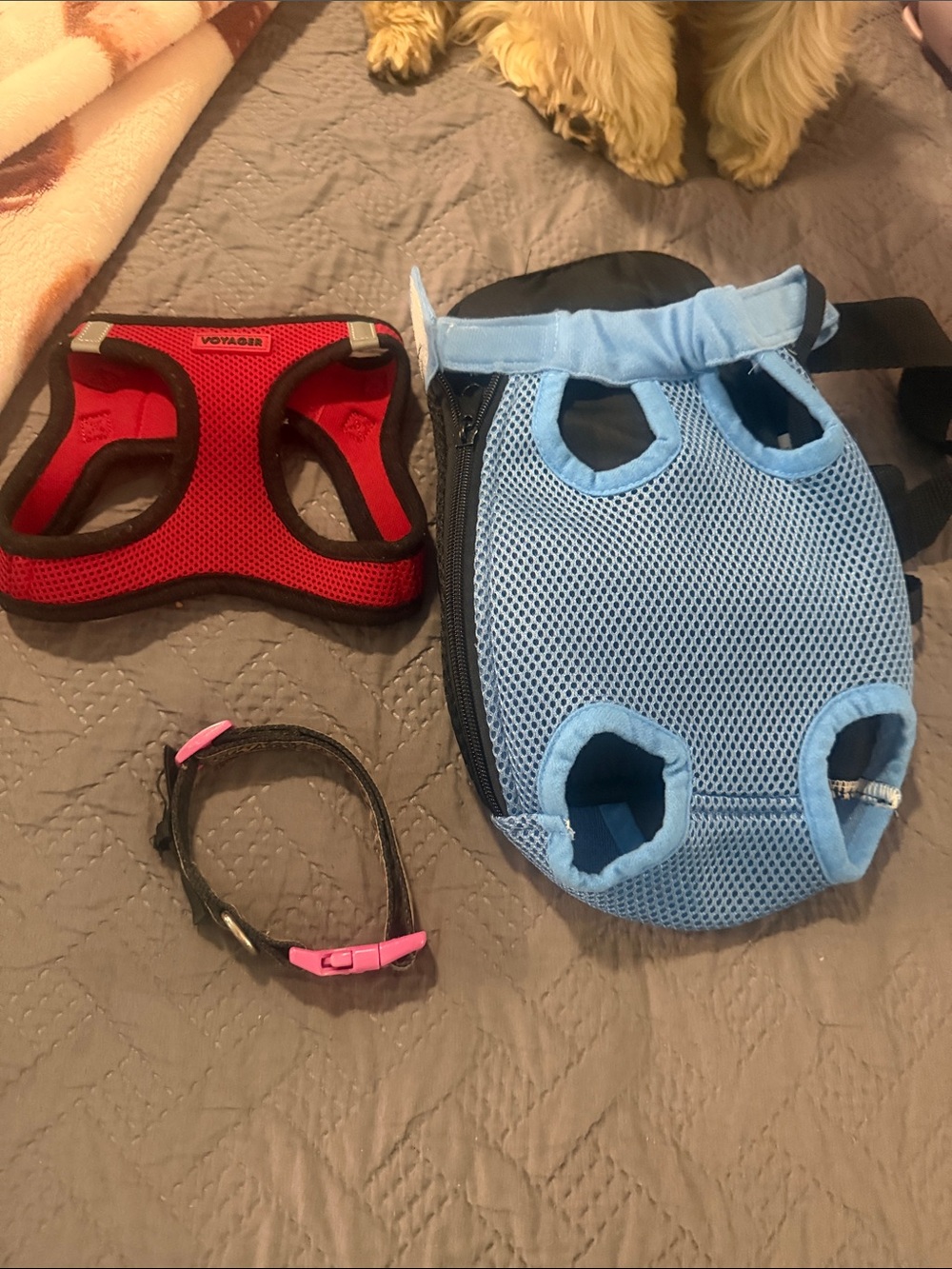 Blue Mesh Dog Carrier Harness + Red Voyager Harness little pink collar